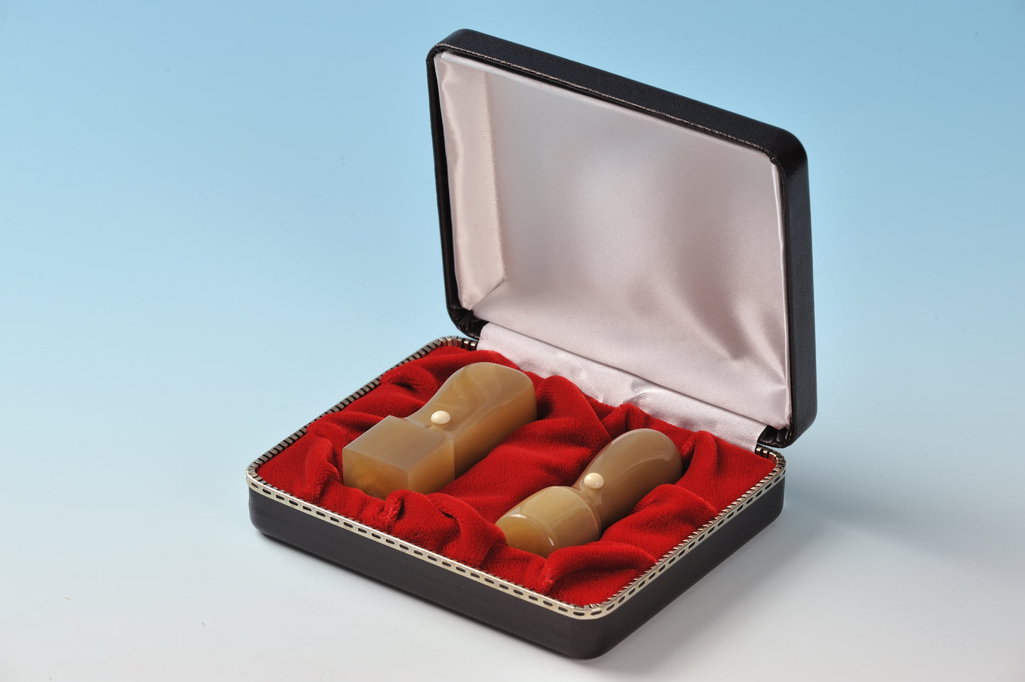 オランダ水牛(牛角)